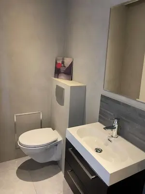 a bathroom with a white toilet and a sink at Private apartment with garden, close to Amsterdam in Assendelft