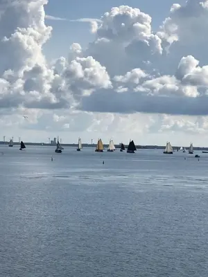 a group of sailboats on a large body of water at Spacious house IJmeer Amsterdam - east IJburg in Amsterdam