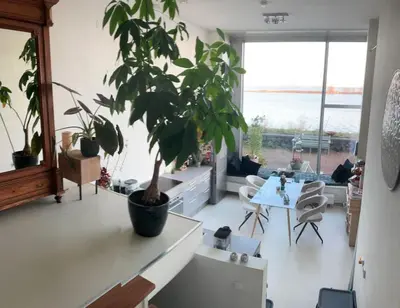 a living room with a potted plant and a table at Spacious house IJmeer Amsterdam - east IJburg in Amsterdam