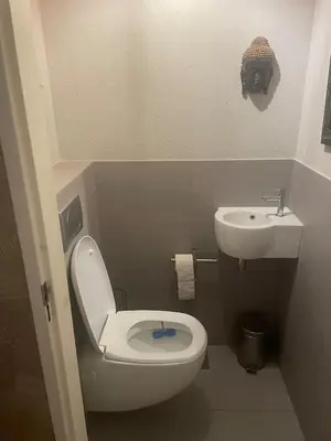 a small bathroom with a toilet and a sink at Spacious house IJmeer Amsterdam - east IJburg in Amsterdam