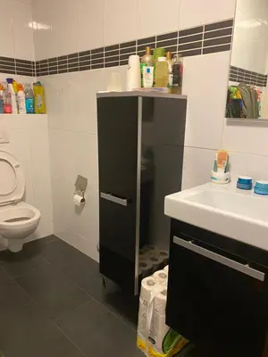 a bathroom with a toilet and a sink at Roses in Amstelveen