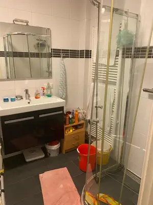 a bathroom with a shower and a sink at Roses in Amstelveen