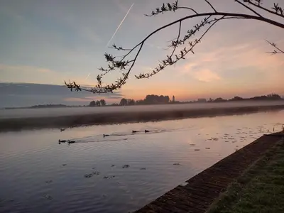 a group of ducks in the water at sunset at B&B Koe en Kussen in Bodegraven