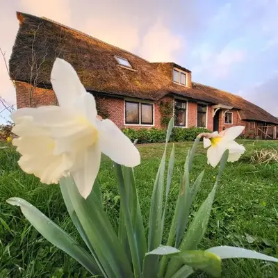 B&B Koe en Kussen