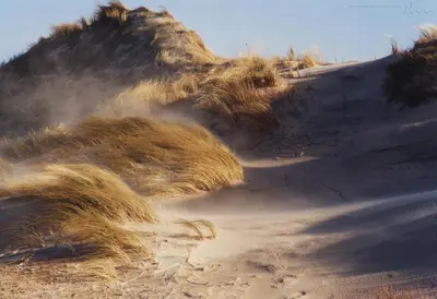 a pile of sand on a dirt road at Egmond-vakantiewoningen in Egmond aan Zee