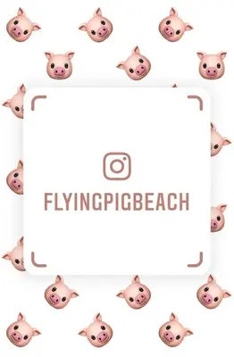 a picture of a pig head with the words flying peeper beach at The Flying Pig Beach Hostel Age 18 to 40 in Noordwijk aan Zee