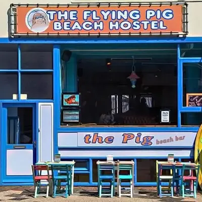 The Flying Pig Beach Hostel Age 18 to 40
