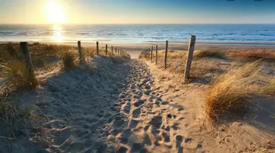 a sandy beach with a fence and the ocean at Studio Lief Bergen binnen, bij bos duin en dorp in Bergen