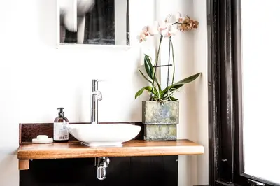 a bathroom with a sink and a plant on a counter at Zwanestein Canal House in Amsterdam