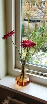 two red flowers in a vase on a window sill at Overbosch in Bilthoven