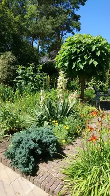 a garden with many different flowers and plants at Overbosch in Bilthoven
