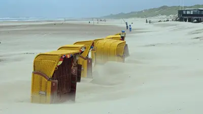 a row of yellow beach chairs on the beach at Beach House Sea-Esta in Egmond aan Zee