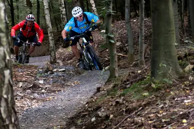 two people riding bikes on a trail in the woods at Proeverij de Azijnmakerij in Zeist