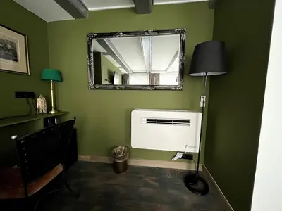 a green room with a mirror and a air conditioner at Central Guest Rooms in Amsterdam
