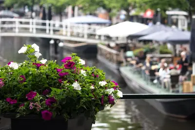 a pot of flowers on a railing next to a canal at NR22 Leiden in Leiden