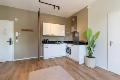 a kitchen with white cabinets and a potted plant at Utrecht City Apartments - Huizingalaan in Utrecht