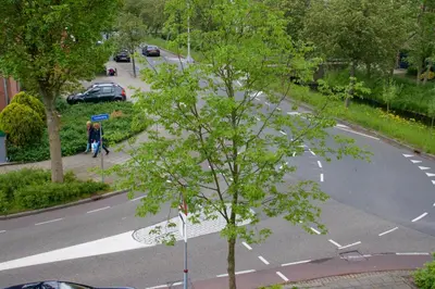 a tree on the side of a street at Silver Moon Bed & Breakfast in Voorschoten