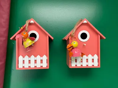 two toy birds in birdhouses on a green wall at Coastal Dreaming in Egmond aan Zee