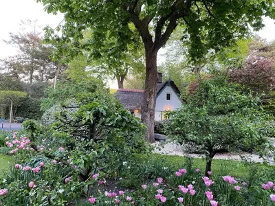 a garden with pink flowers in front of a house at Holiday Home in Bergen near the Beach in Bergen