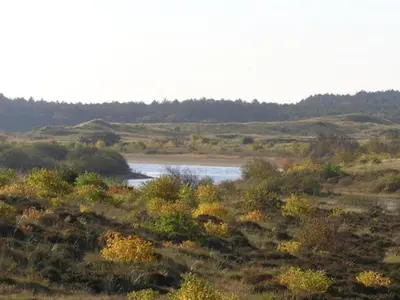 a river in the middle of a field with trees at Holiday Home in Schoorl near Forest & Beach in Schoorl