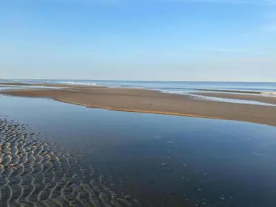 a beach with a body of water and the ocean at Apartment in Bergen near Schoorl Dunes in Bergen