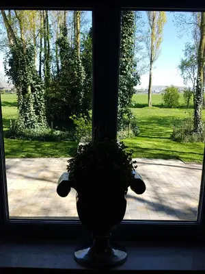 a plant in a vase sitting in front of a window at Appartement De Molshoop II in Landsmeer