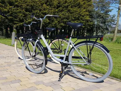 two bikes parked next to each other on a sidewalk at Appartement De Molshoop II in Landsmeer