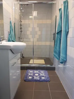 a bathroom with a shower and a sink and a shower at Appartement De Molshoop II in Landsmeer