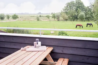 a table on a porch with two horses in a field at Ruyge Weyde Logies, Eco Farm in Oudewater