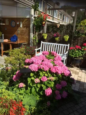 a white bench in a garden with pink flowers at Bed and Breakfast Ineke en John in Hoofddorp