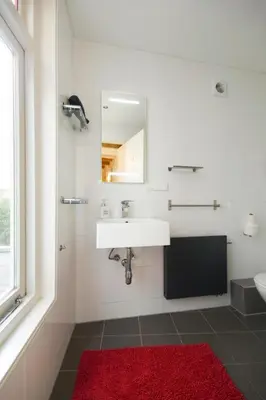 a bathroom with a white sink and a red rug at Mercedes Bed&Breakfast Amsterdam in Amsterdam