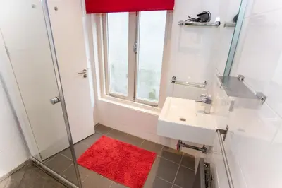 a bathroom with a sink and a shower with a red rug at Mercedes Bed&Breakfast Amsterdam in Amsterdam