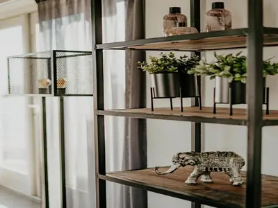 a shelf with a figurine of an elephant on it at House by Uitgeestermeer with Garden in Uitgeest
