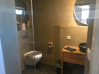 a bathroom with a toilet and a sink and a mirror at Ferienhaus Glücklich am Meer 1 mit Wellnesszugang in Egmond aan Zee