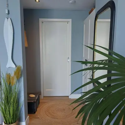 a hallway with a door and a potted plant at Benny's Beach House 2 in Zandvoort