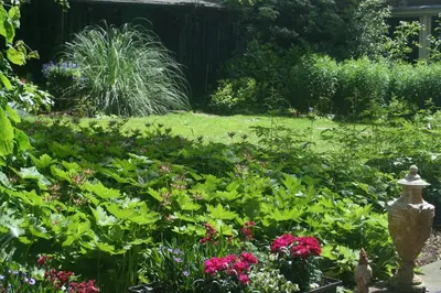 a garden with a lot of flowers and plants at B&B Het Hart van Haarlem in Haarlem