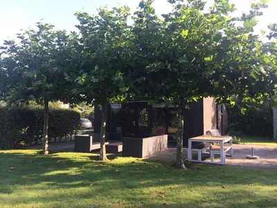 a park with two trees and a bench in the grass at Bergen Holiday Home in Schoorl
