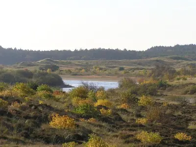 a river in the middle of a field with trees at Bergen Holiday Home in Schoorl