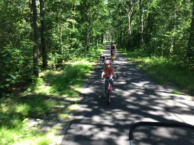 a group of people riding bikes down a road at Bergen Holiday Home in Schoorl