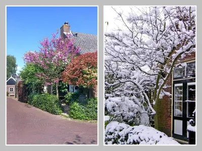 a tree covered in snow next to a house at Hövell in Huizen