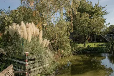 a pond with a fence and some grass and trees at Chalet Ben in Broek in Benningbroek