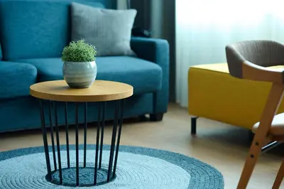 a potted plant sitting on a table in a living room at Cityden Zuidas in Amstelveen