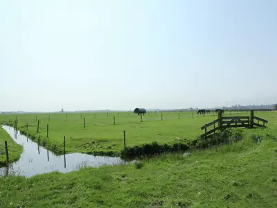 a field with a fence and horses in the distance at Holiday Home in Bergen near Forests in Bergen