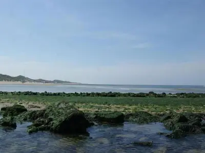 a body of water with some rocks in the water at Peaceful Dune Retreat with Garden in Schoorl