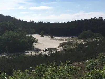 a beach in the middle of a field with trees at Peaceful Dune Retreat with Garden in Schoorl