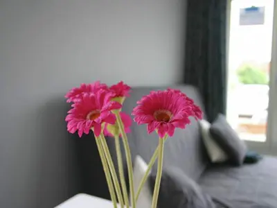 three pink flowers in a vase on a table at Holiday Home Egmond near Beach in Egmond aan Zee