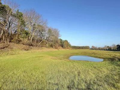 a golf course with a pond in the middle of a field at Holiday Home with bubble bath in Noordwijk in Noordwijk