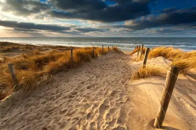 a path through the sand on a beach at Reumann Holiday Apartments De Schelp 47 in Zandvoort