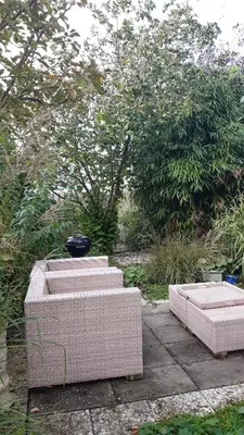 a set of three planting pots in a garden at Kitty's Place Warmond in Warmond