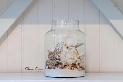 a glass jar with a cat and shells in it at Carpe Diem Egmond aan Zee by Urban Home Stay in Egmond aan Zee